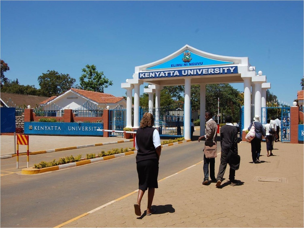 Featured image for “Kenyans share graduate employment woes”