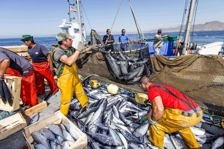 Featured image for “Morocco: Fish Products Increased by 36% in 2021”