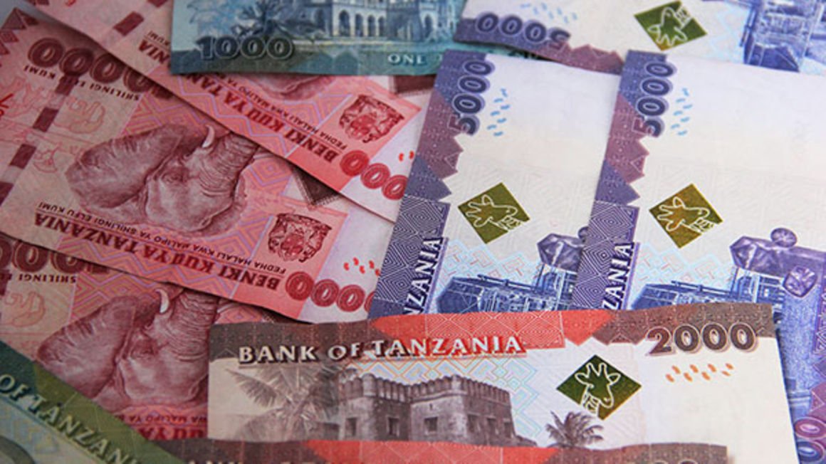 Featured image for “Tanzania: Debt grows by $5b in 12 months”