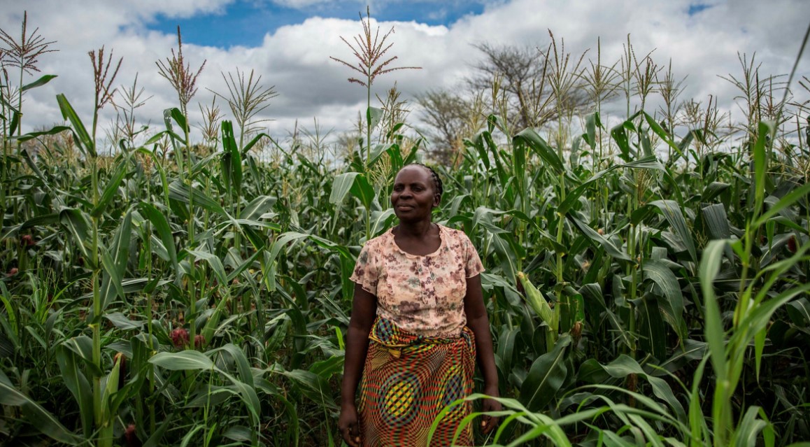 Featured image for “Nigerian Govt Trains Over 150 Women Farmers to Combat Climate Change”