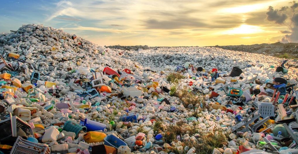 Featured image for “Only 9% of plastic recycled worldwide: OECD”