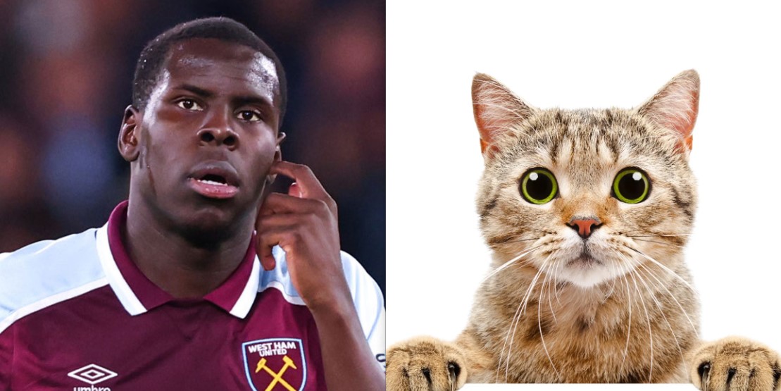 Featured image for “Kurt Zouma fined £250k, Adidas deal withdrawn, could face 4 years jail time for kicking a pussycat”