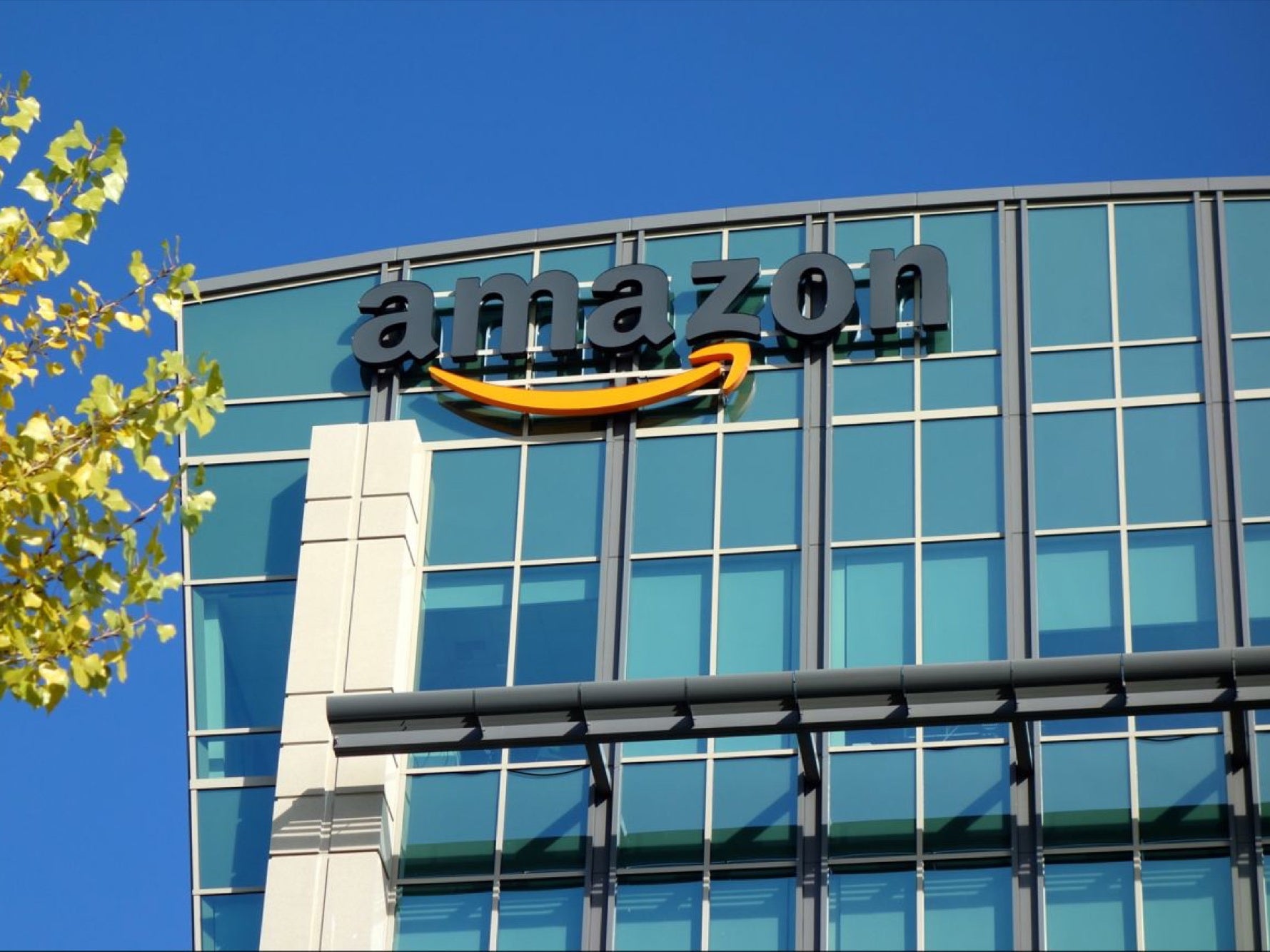 Featured image for “South African court suspends construction of Amazon’s headquarters”