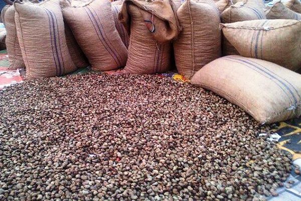 Featured image for “Nigeria Now Behind Ghana, Cote D’Ivoire, Guinea Bissau in Cashew Production – NEPC”