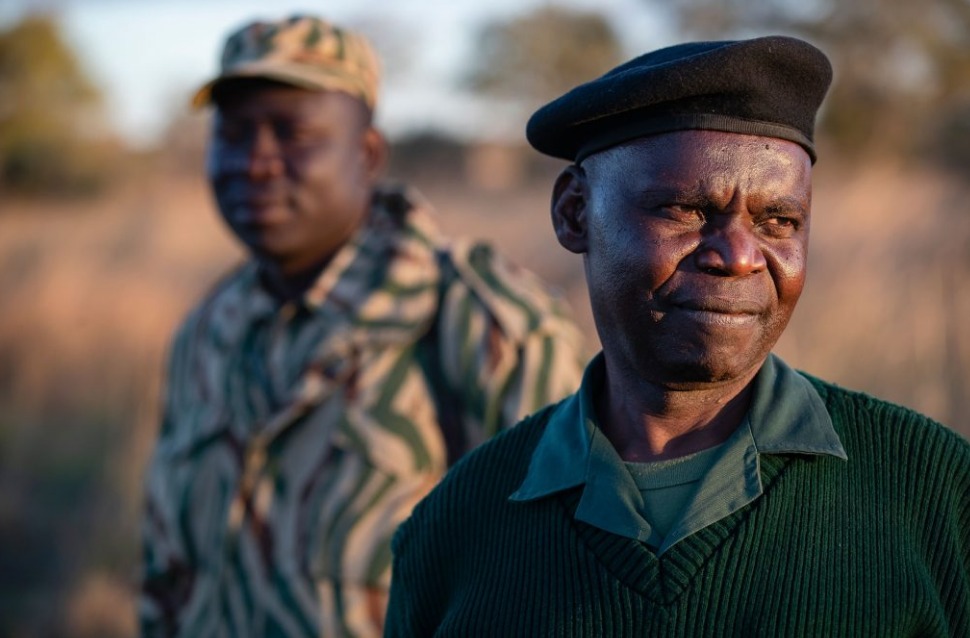 Featured image for “Zambian wildlife ranger receives award for his anti poaching work”