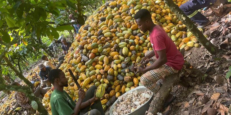 Featured image for “Climate-smart agriculture, aquaculture build resilient ecosystems”