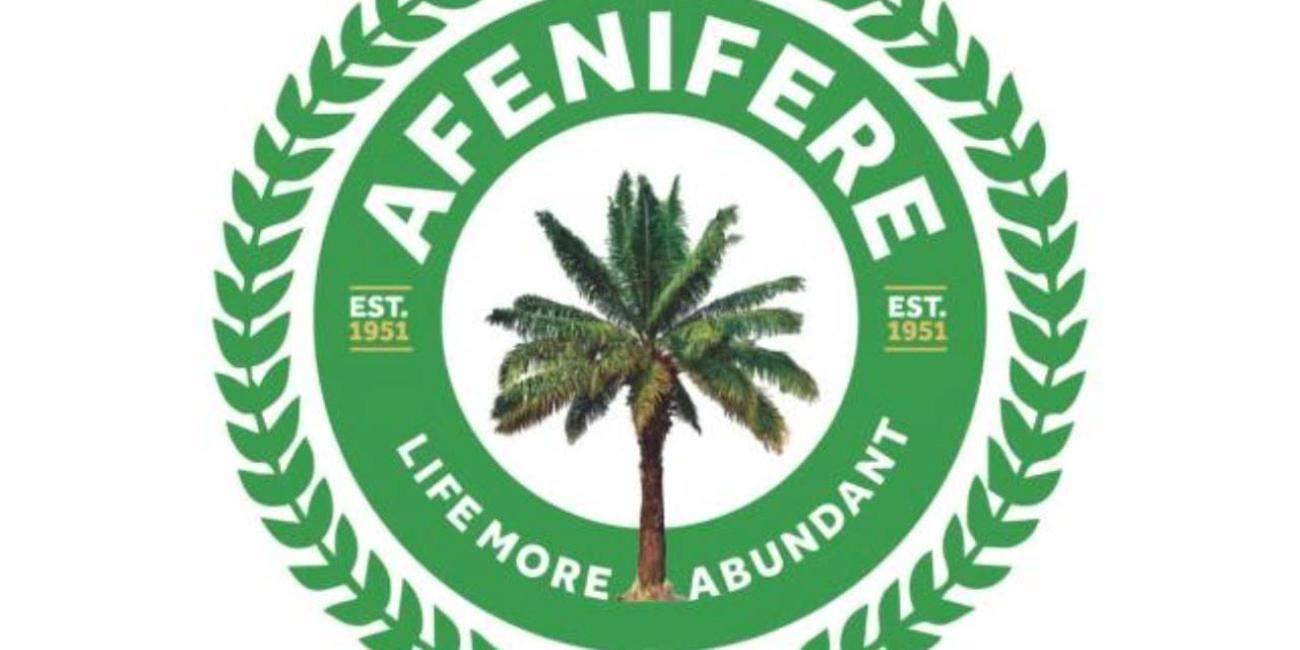 Featured image for “Nigeria: Afenifere Warns of Disturbing New Trends in South West Kidnappings”
