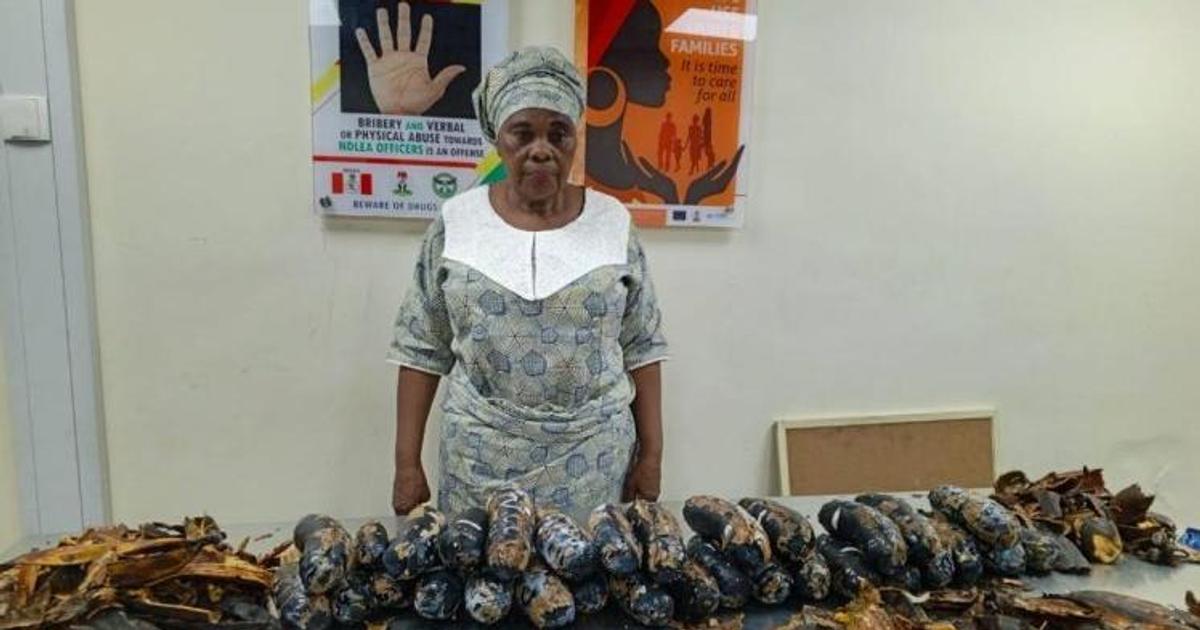 Featured image for “67-year-old grandmother arrested over possession of 13kg cocaine hidden in fake plantain”
