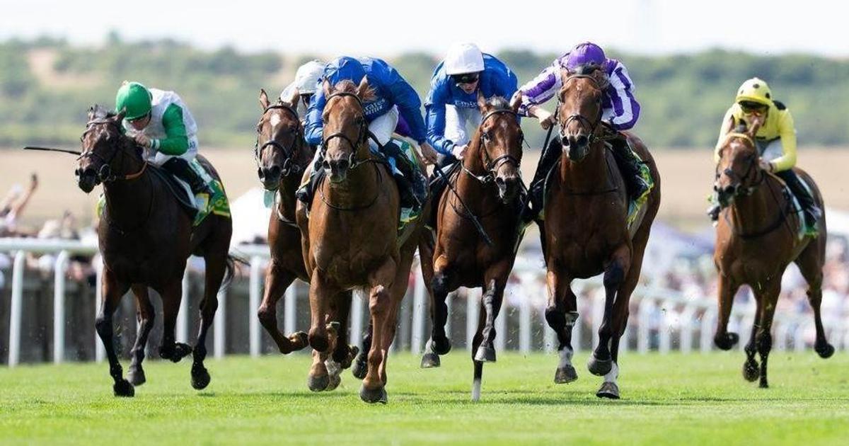 Featured image for “August–September 2026 Horse Racing Meetings and Betting Angles”