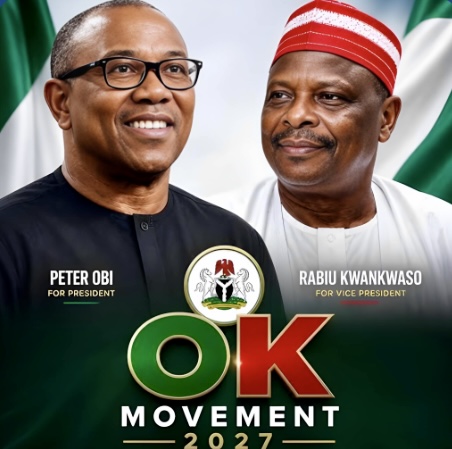 Featured image for “OK Movement Rejects NDC Order Over Campaign Council List”